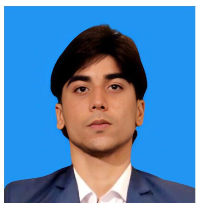 Babysitter in Karachi: Abdul