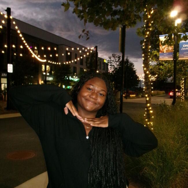 Babysitter in Ashburn: Sarah