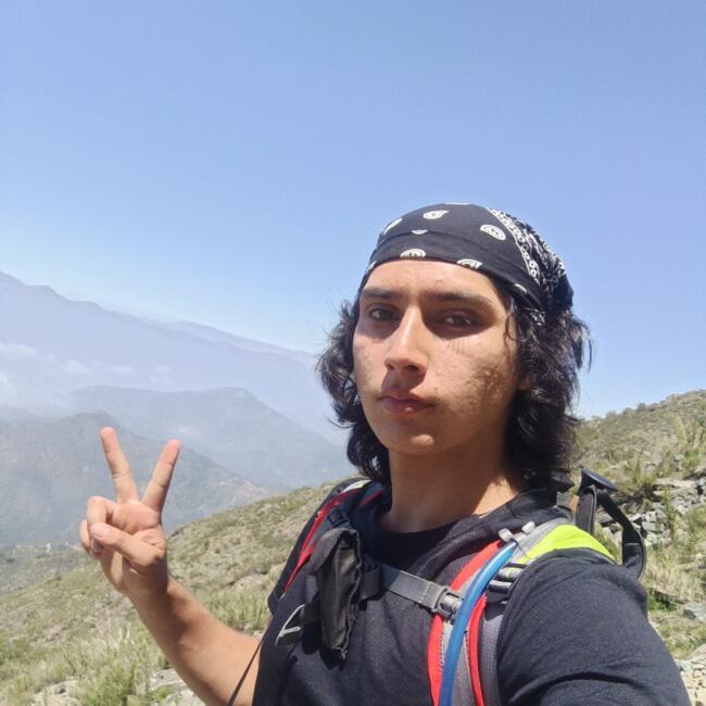 Babysitter in Quilpué: Cristopher