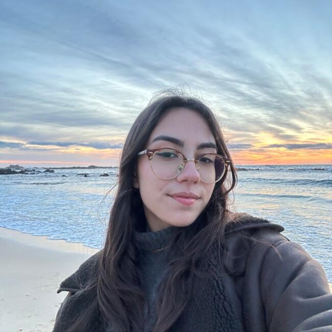 Babysitter em Vila Nova de Famalicão: Lara Silva