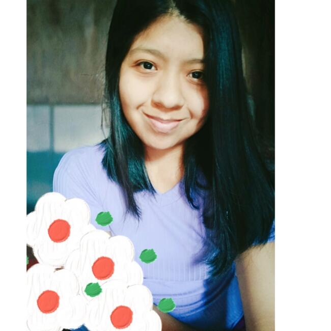 Babysitter in San Juan (Lima): Joyce