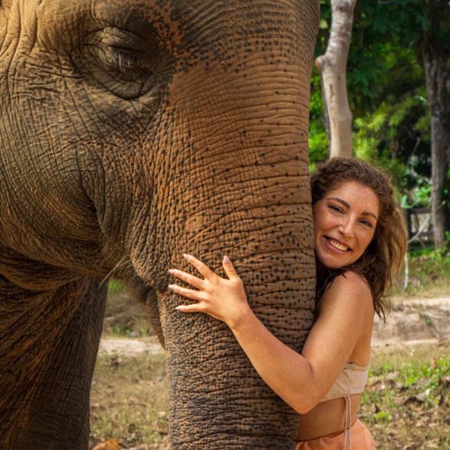 Babysitter in Coimbra: Rute