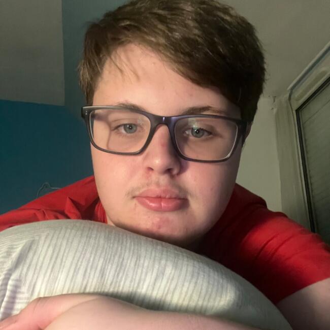 Babysitter in Petit-Couronne: Nolann