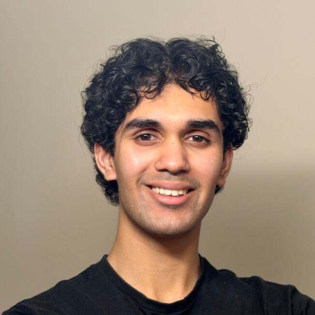 Babysitter in Auckland: Arjun