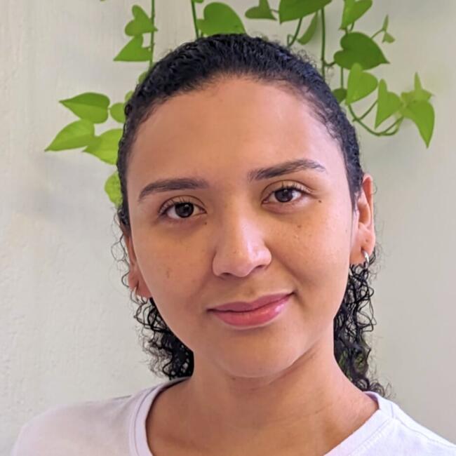 Babá em São Paulo: Aurilene