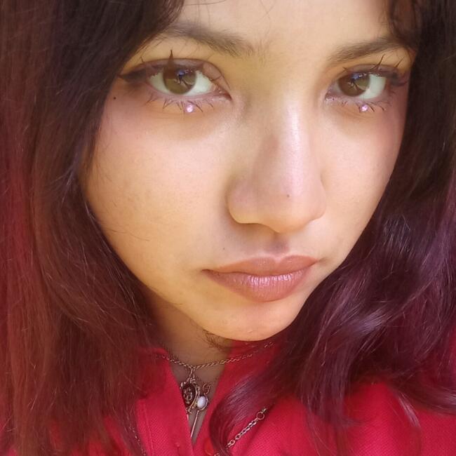 Babysitter in Concepción: Isidora