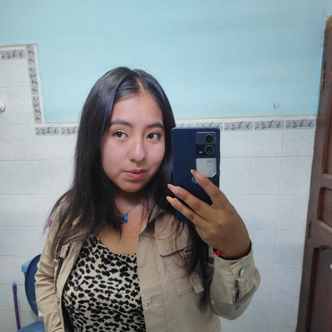 Babysitter in Salta: Cele