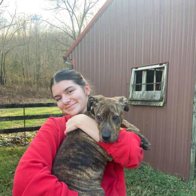 Babysitter in Bowling Green: Stella