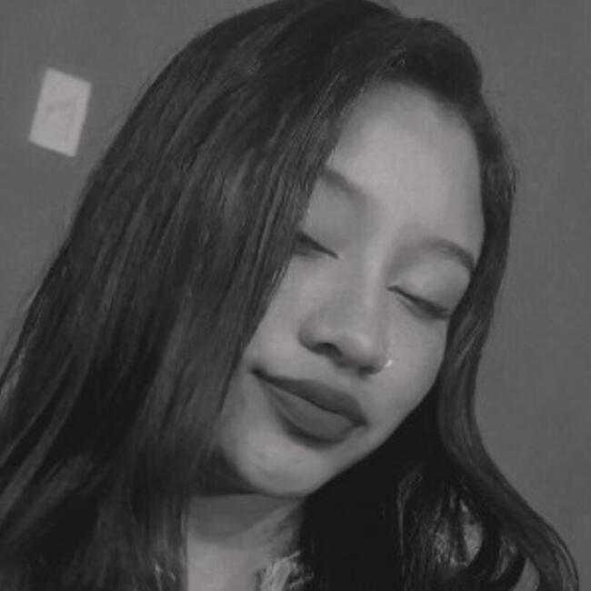 Babysitter in San Martín de Porres (Departamento de Lima): Danizta