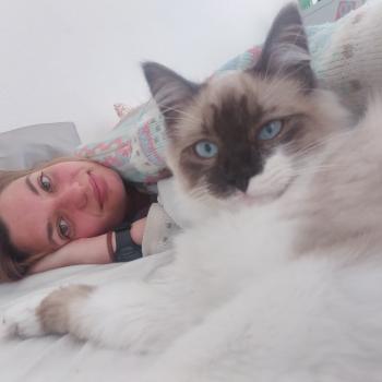 Baby-sitter in Rennes: Marion