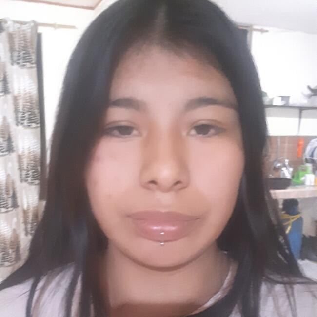 Babysitter in Sangolquí: Brithany
