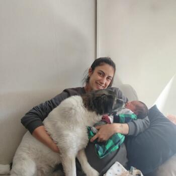 Babysitting job in Montevideo: Estefania