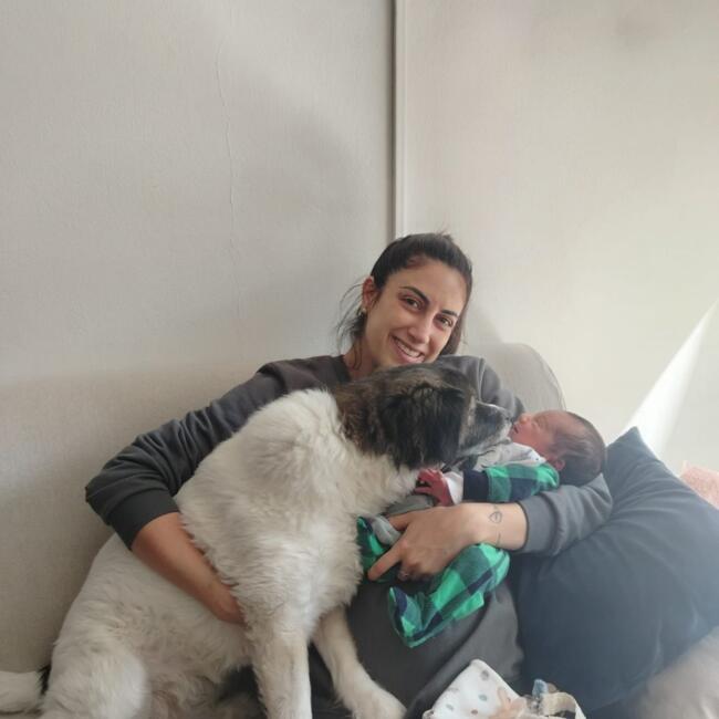 Babysitting job in Montevideo: Estefania