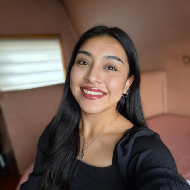 Babysitter in Temuco: Karen