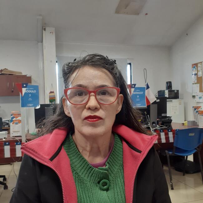 Babysitter in La Florida: Gladys Clara