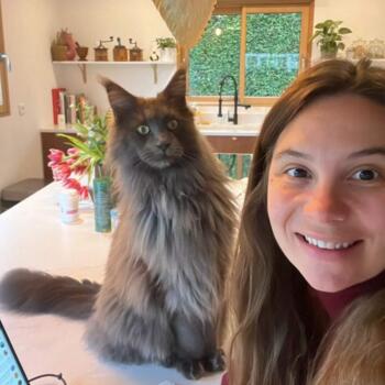 Babysitting job in La Balme-de-Sillingy: babysitting job Marion