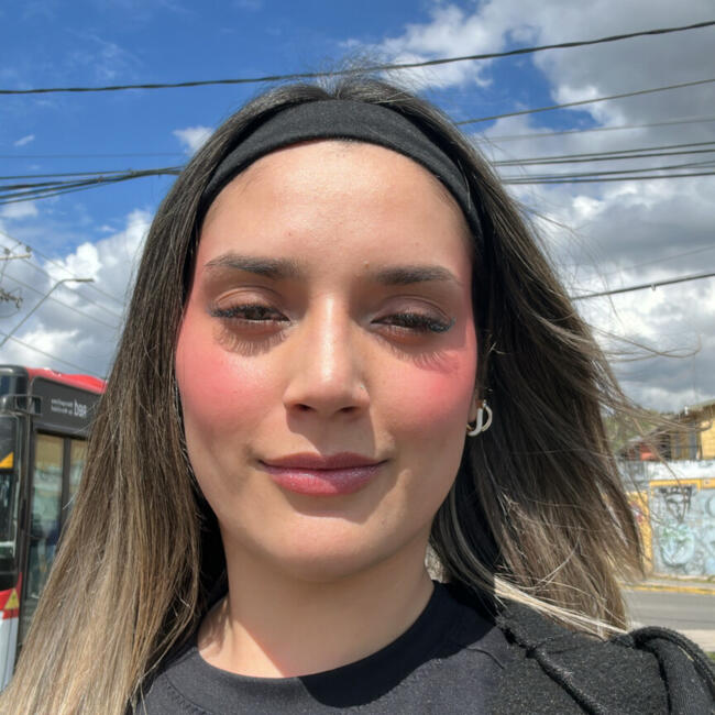 Babysitter in Puente Alto: Vanessa