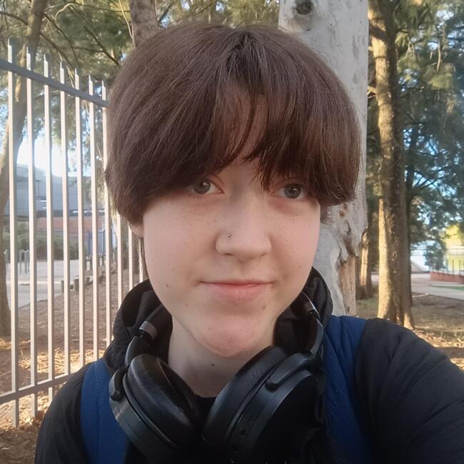 Babysitter in Canberra: Micha