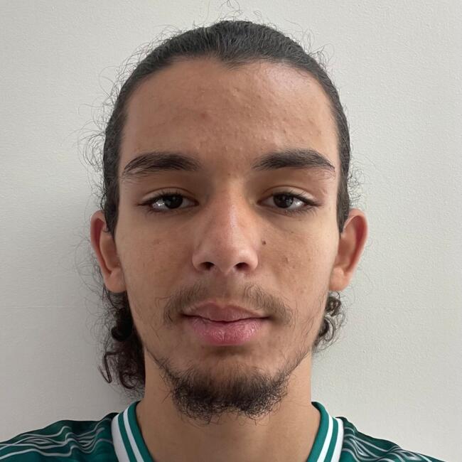 Babysitter in Villeurbanne: Nassim