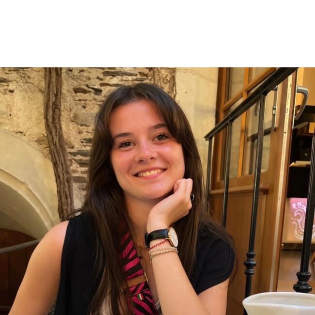 Baby-sitter à Lille: Castille