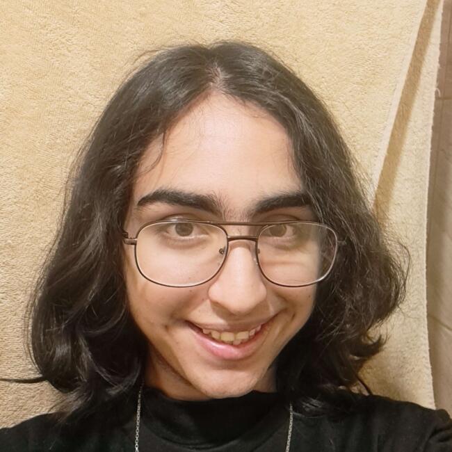 Babysitter in Arica: Javier