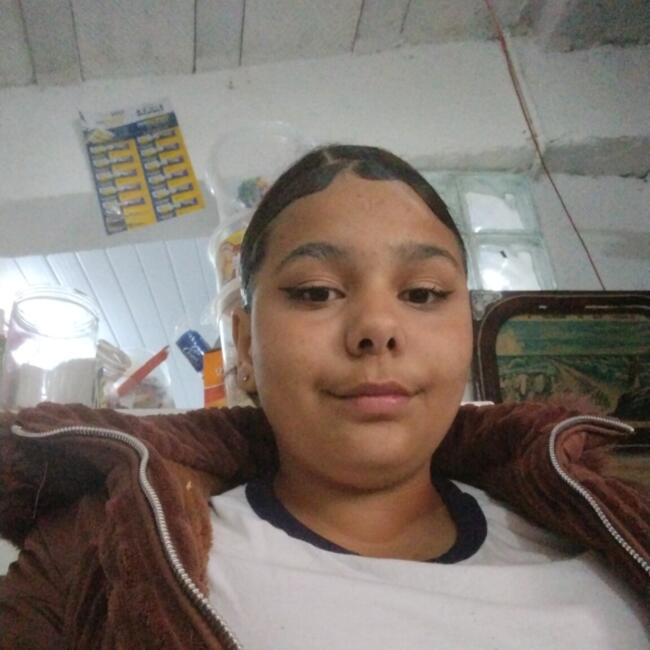 Babysitter in Teresópolis: Julia