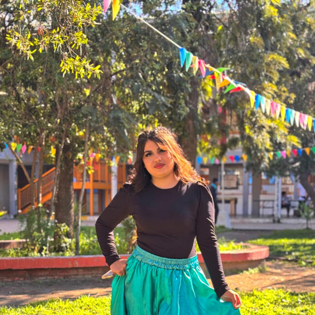Babysitting job in San Bernardo: Francisca