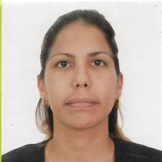 Babysitting job in Lampa: Lidices