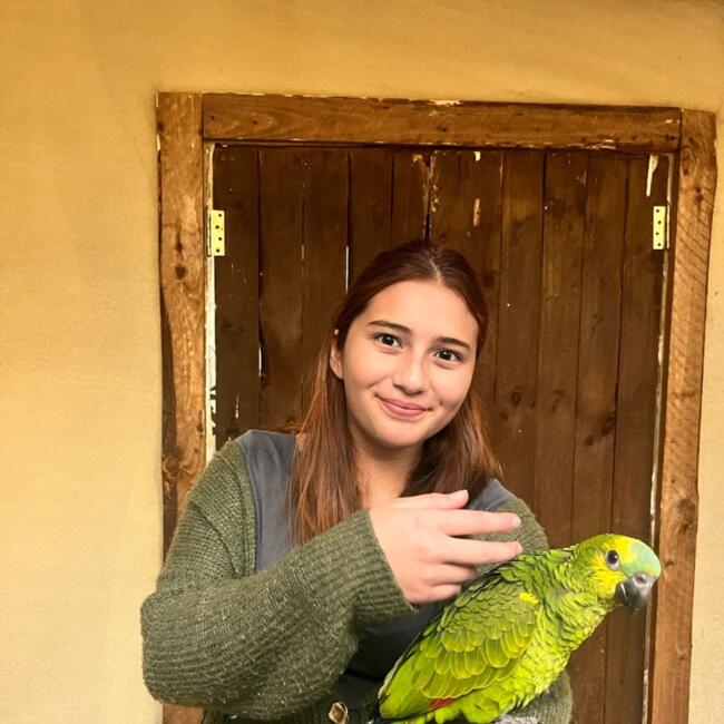 Niñera en Llanquihue: Colomba