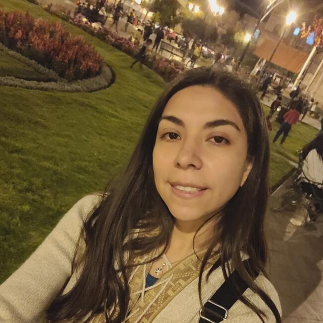 Niñera en Maipú: Rosmery