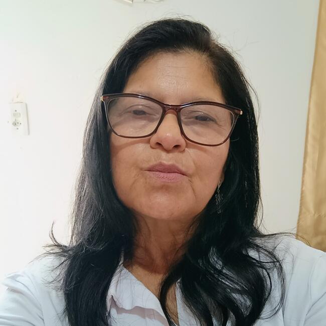 Babysitter in Florianópolis: Angelina