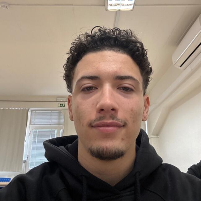 Babysitter in Seixal: Pedro