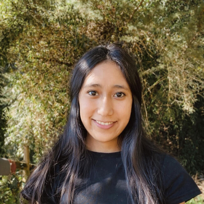 Niñera en Valdivia: Constanza