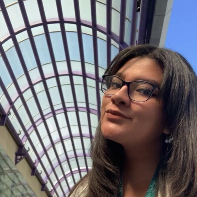 Babysitter in Colonia Álvaro Obregón: Lizbeth González