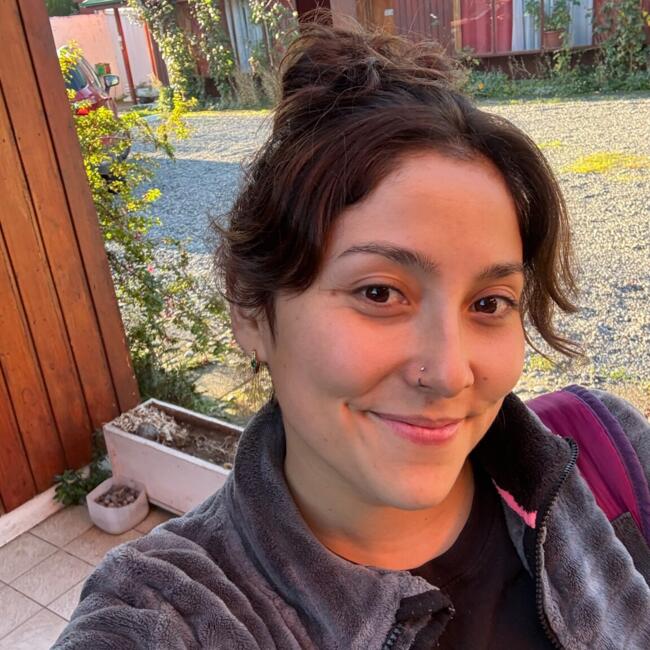 Babysitter in Concepción: Javiera