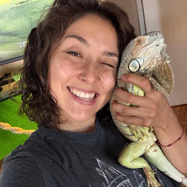 Babysitter in Concepción: Javiera