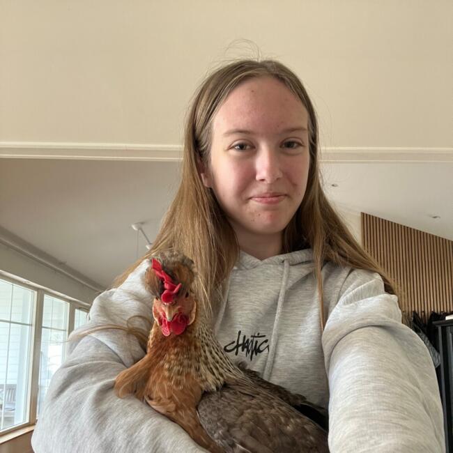 Barnvakt i Södra Sandby: Cornelia