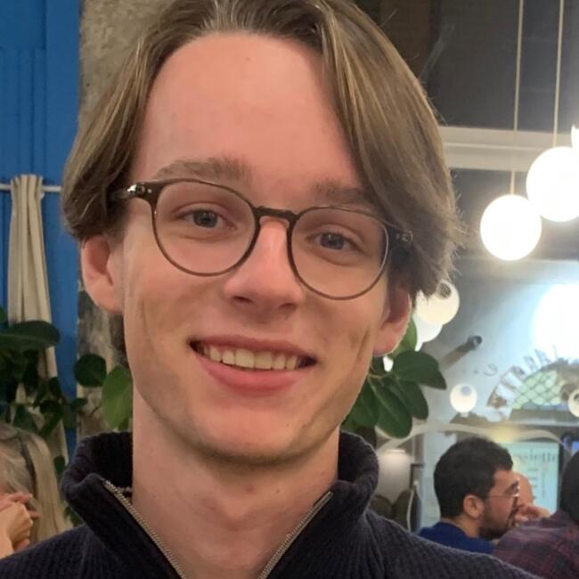 Babysitter in Lyon: Louis