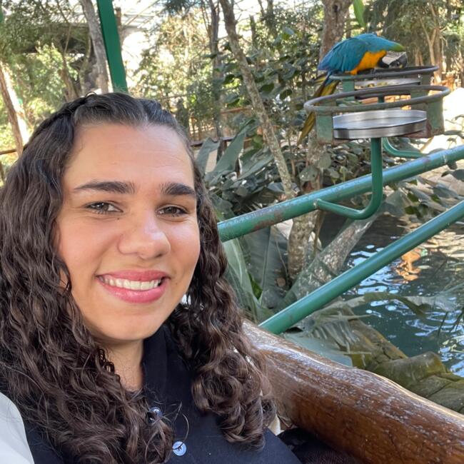 Babysitter in Bauru: Aline