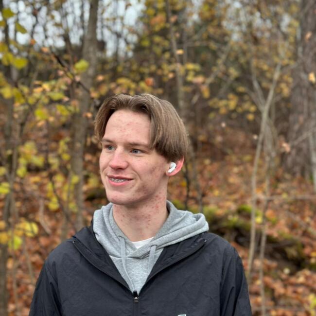 Babysitter in Hønefoss: Eirik