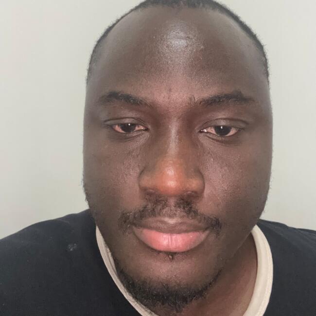 Babysitting job in Verrières-le-Buisson: Zougnon