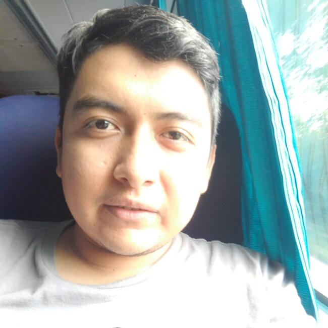 Babysitting job in Ciudad Victoria: Alexis
