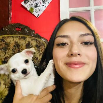 Babysitter in Santiago: Akanne Zenteno Venegas