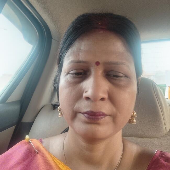 पटना में बेबीसिटर: Sangita sinha