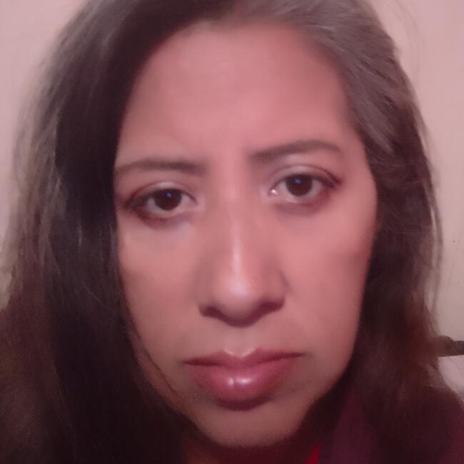 Babysitter in Los Reyes Acaquilpan: Elvia Esquivel