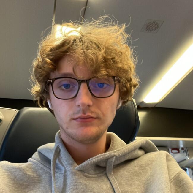 Babysitter in Bordeaux: Mathéo