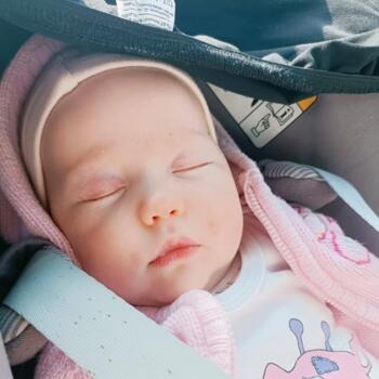 Babysitting job in Neulengbach: babysitting job Stephan