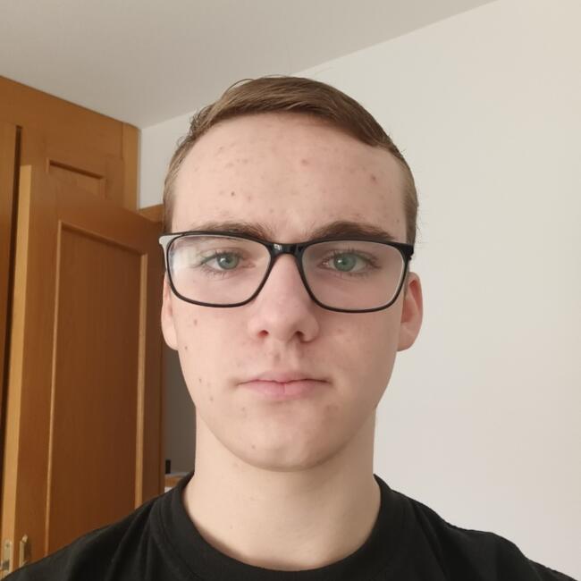 Nanny in Las Rozas de Madrid: Stefano