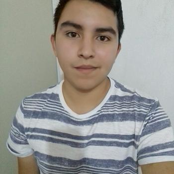 Babysitters in Xalapa: Luis