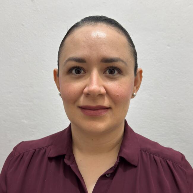 Babysitting job in Culiacán: Maria José